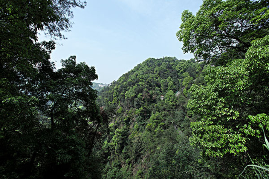 旗山国家森林公园