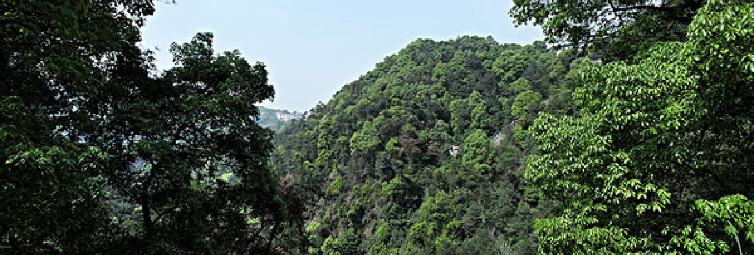 旗山国家森林公园