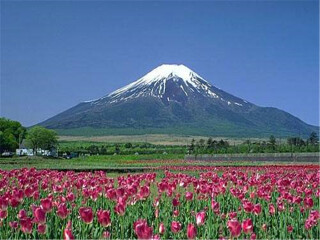 幾月去日本旅游最便宜_報(bào)團(tuán)去日本多少錢_春節(jié)日本旅游價(jià)格