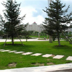小交通模块 