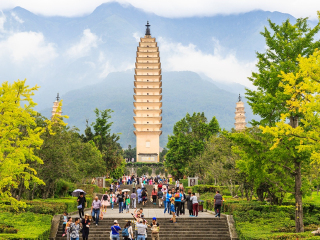 旅游團(tuán)云南西雙版納_到云南西雙版納旅游報團(tuán)價格_云南西雙版納旅行團(tuán)自由行