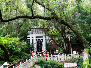 西双版纳十日游价格_旅游团西双版纳_深圳特价西双版纳游