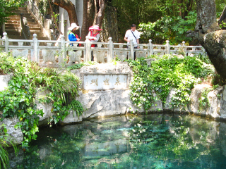 旅游團(tuán)云南西雙版納_到云南西雙版納旅游報團(tuán)價格_云南西雙版納旅行團(tuán)自由行