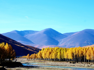 云南香格里拉旅行團(tuán)自由行_去云南香格里拉游怎么省錢_云南香格里拉報(bào)團(tuán)旅游多少錢