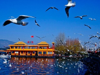 跟團(tuán)云南游價格_云南跟團(tuán)還是自由行_深圳到云南旅游報價