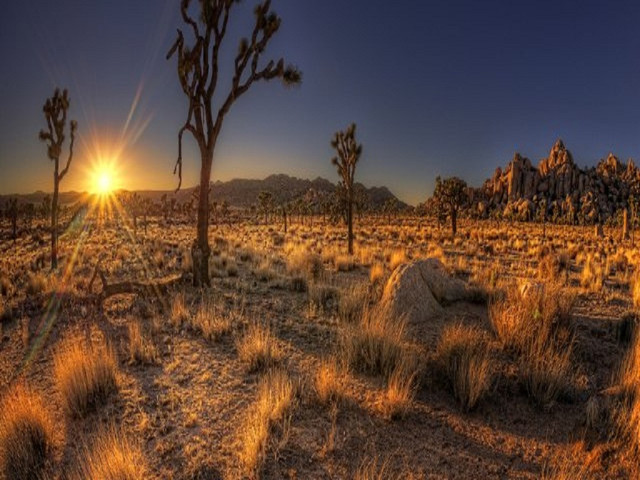     莫哈维沙漠(mojave desert)是个位于美国西南部,南加