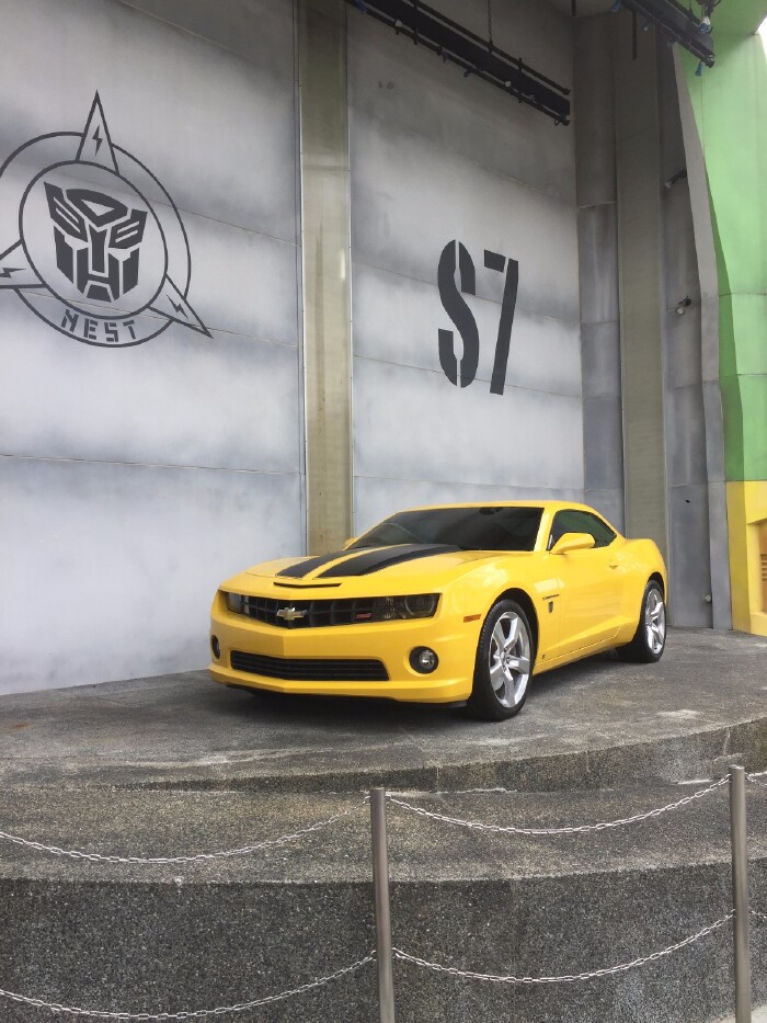 马代、新加坡、我、你、家、远方。