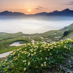 景点模块 