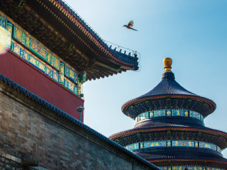 北京旅游网_北京旅游苏梅岛_旅游北京跟团