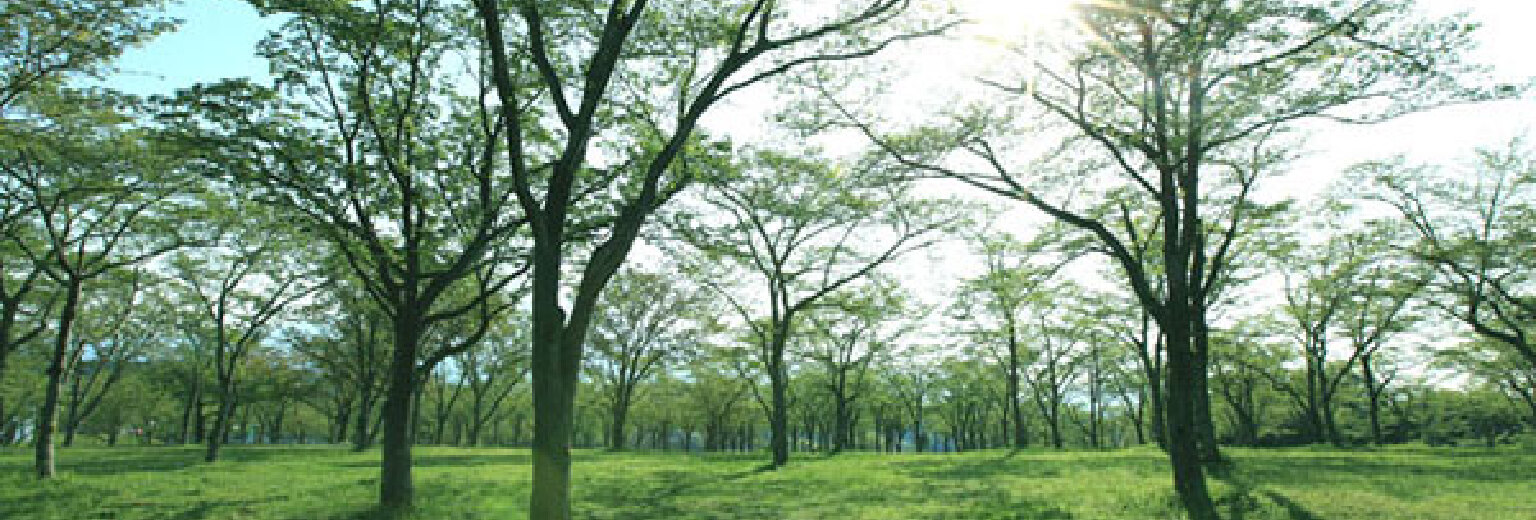 【2018】射鹿台旅游攻略_射鹿台自助游攻略_