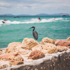 海边