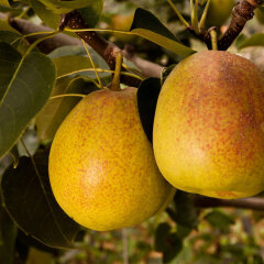 457_昆明_万溪冲