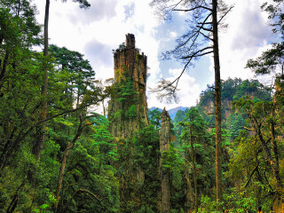 現(xiàn)在去莽山郴州旅游多少錢(qián)_現(xiàn)在到莽山郴州旅游多少錢(qián)_去莽山郴州游要多少錢(qián)