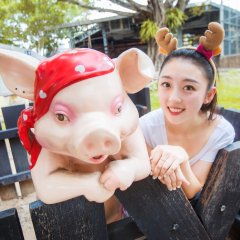 美女与可爱小猪