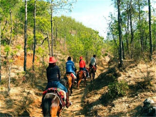 云南麗江旅游團報價2021_云南麗江旅行團自由行_怎么去云南麗江旅游