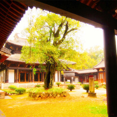 景点模块 
