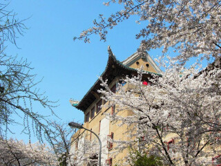 中旅武汉旅游_武汉著名旅游_旅行武汉