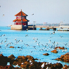 景点模块 