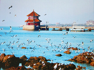山東青島旅游費用多少_跟團山東青島游價格_山東青島旅游一次多少錢