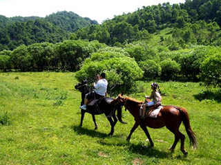 宝鸡大水川-大唐秦王陵-灵宝峡2日游>升级住宿