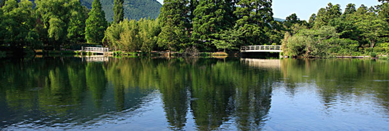 【2018】蛟湖旅游攻略_蛟湖自助游攻略_蛟湖