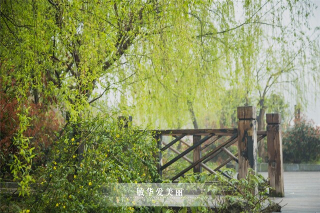 贵阳青岩,这里有六百年前的古韵味,这里有诗和