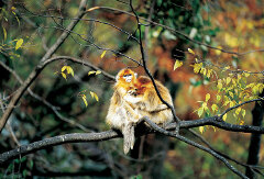 小龙潭野考站 景点模块