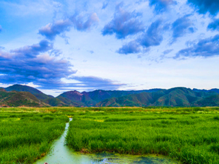 去云南麗江旅游多少錢_云南麗江旅游多少錢_去云南麗江旅游怎么走