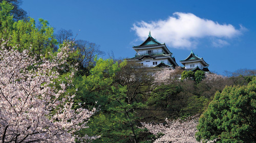 大阪 京都 和歌山川久温泉5日游 神户牛铁板烧帝王自助餐日本长脚蟹宴大阪半天diy 出发 途牛