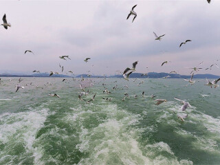 旅行團(tuán)華東游_華東半自由行_深圳到華東旅游報(bào)價(jià)