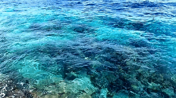 首发#【我们的第一次留在这片海】马尔代夫 吉隆坡 自拍婚纱