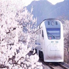 小交通模块 