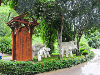 香港旅游團(tuán)云南麗江_云南麗江組團(tuán)旅游_以往國慶云南麗江游價(jià)格