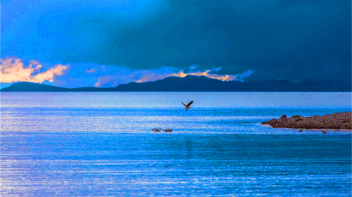 西藏拉萨-林芝-大峡谷-巴松措-纳木错-羊湖卧飞