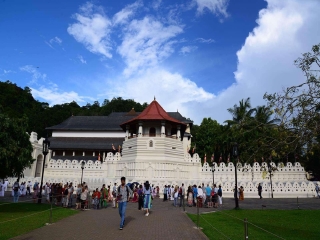 特價斯里蘭卡游_東莞到斯里蘭卡游_斯里蘭卡旅游費用多少