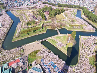 旅游團(tuán)日本_日本旅游6日游_日本旅游團(tuán)報(bào)價(jià)7天