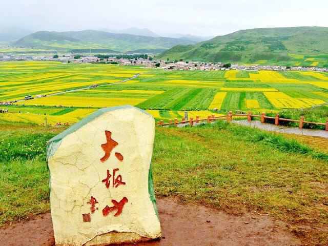 西宁-青海湖-茶卡盐湖-祁连-卓尔山-门源油菜花4日游>0购物,宿黑马河