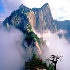 景点模块 