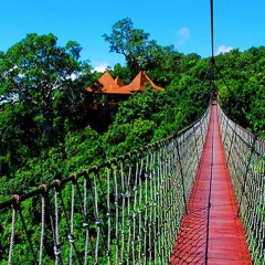 景点模块 
