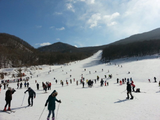 亞布力雪鄉(xiāng)旅游花多少錢_亞布力雪鄉(xiāng)報團旅游多少錢_亞布力雪鄉(xiāng)旅行團旅游報價