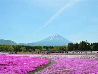 日本游跟团费用_去日本跟团游价格_去日本旅游团报价