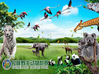  广州番禺长隆香江动物世界自驾1日游></p></a>与动物朋友近距离接触