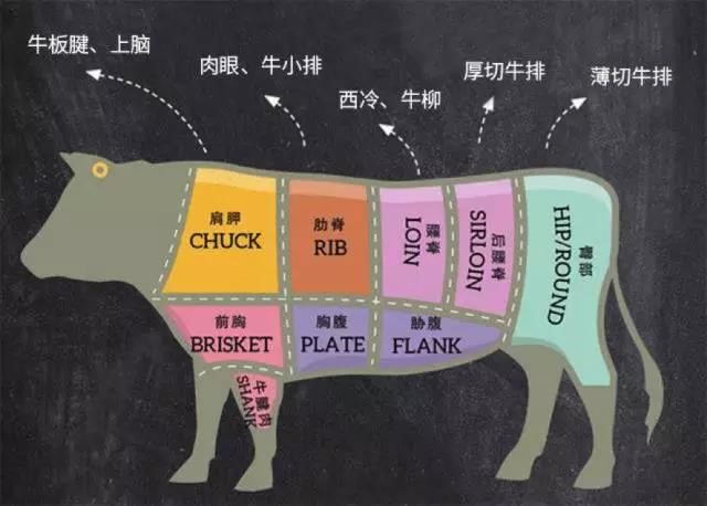 日常吃得较多的,较美味的牛肉部位有肩胛 (牛板腱,上脑心),肋脊(肉眼