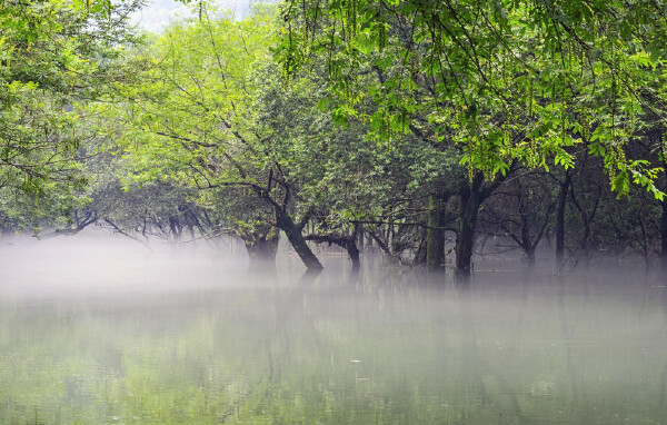 春天去诸暨怎么样_春天去诸暨好吗_春天去诸
