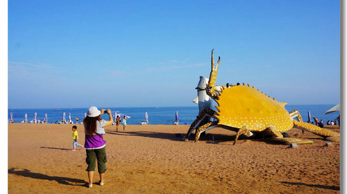  金石滩-黄金海岸1日游>喂含海鸥 海上垂钓 赶海拔笼