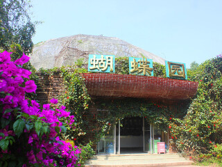現(xiàn)在去云南西雙版納旅游多少錢_云南西雙版納旅游要多少錢2021_去云南西雙版納旅游要多少錢