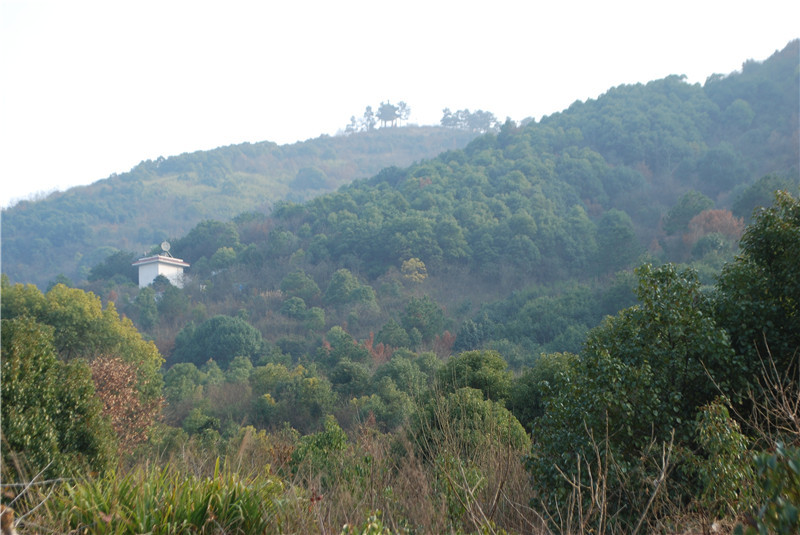 龙泉山风景区游玩