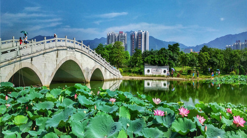 飞来湖湿地公园