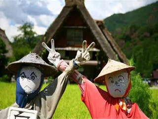 日本农场风光