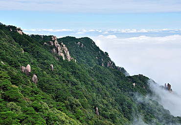 水坑生态风景区